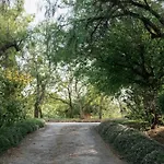 Bartolomeu - Villa Portimão
