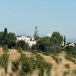 Bartolomeu - Portimão