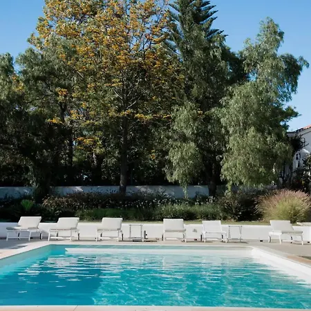 Villa Bartolomeu - *